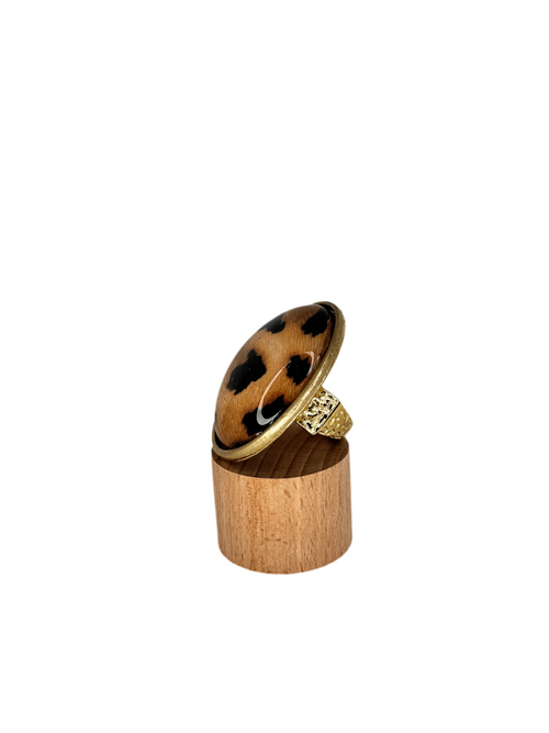 Anillo LEO
