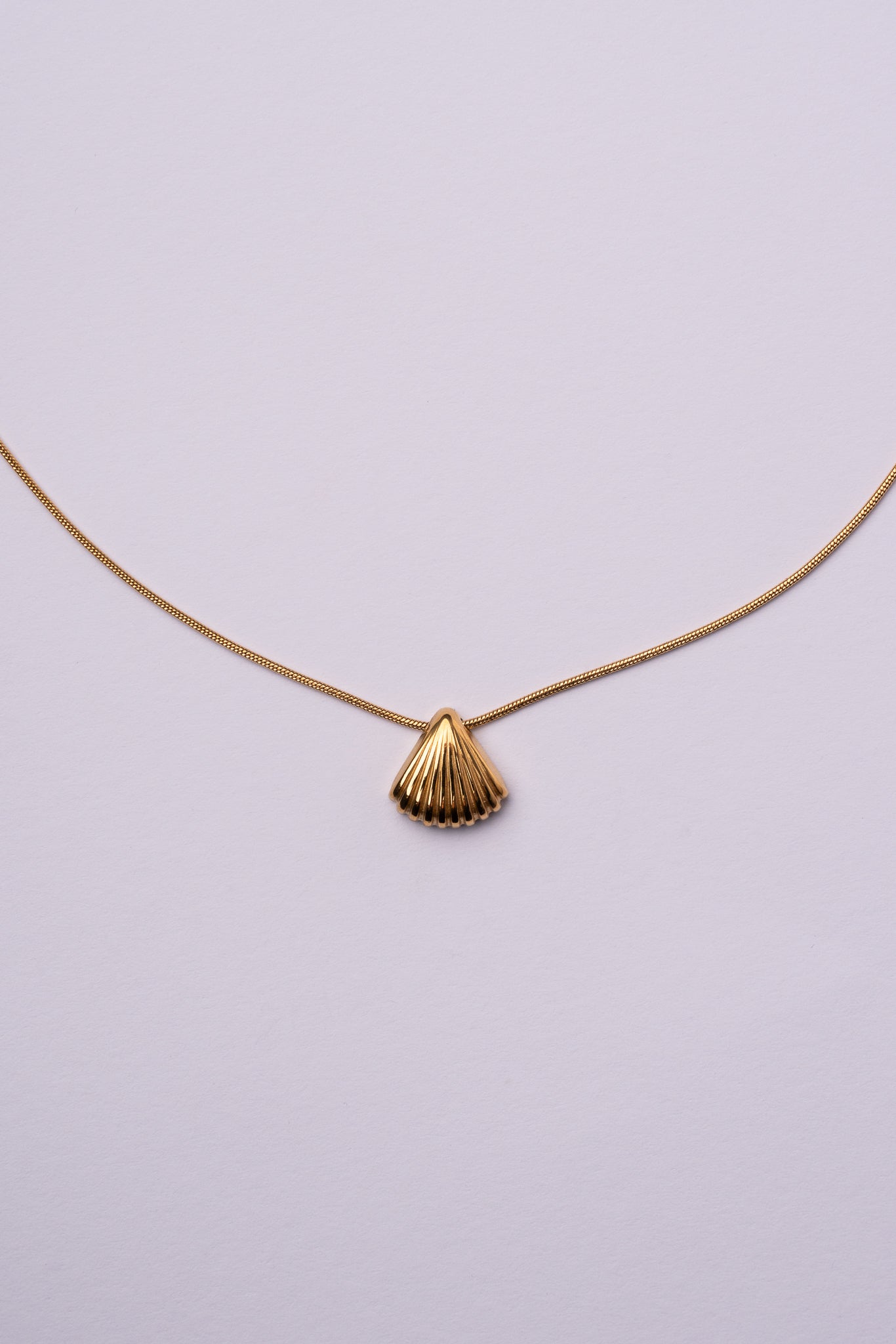 Collar concha acero oro 18k mujer